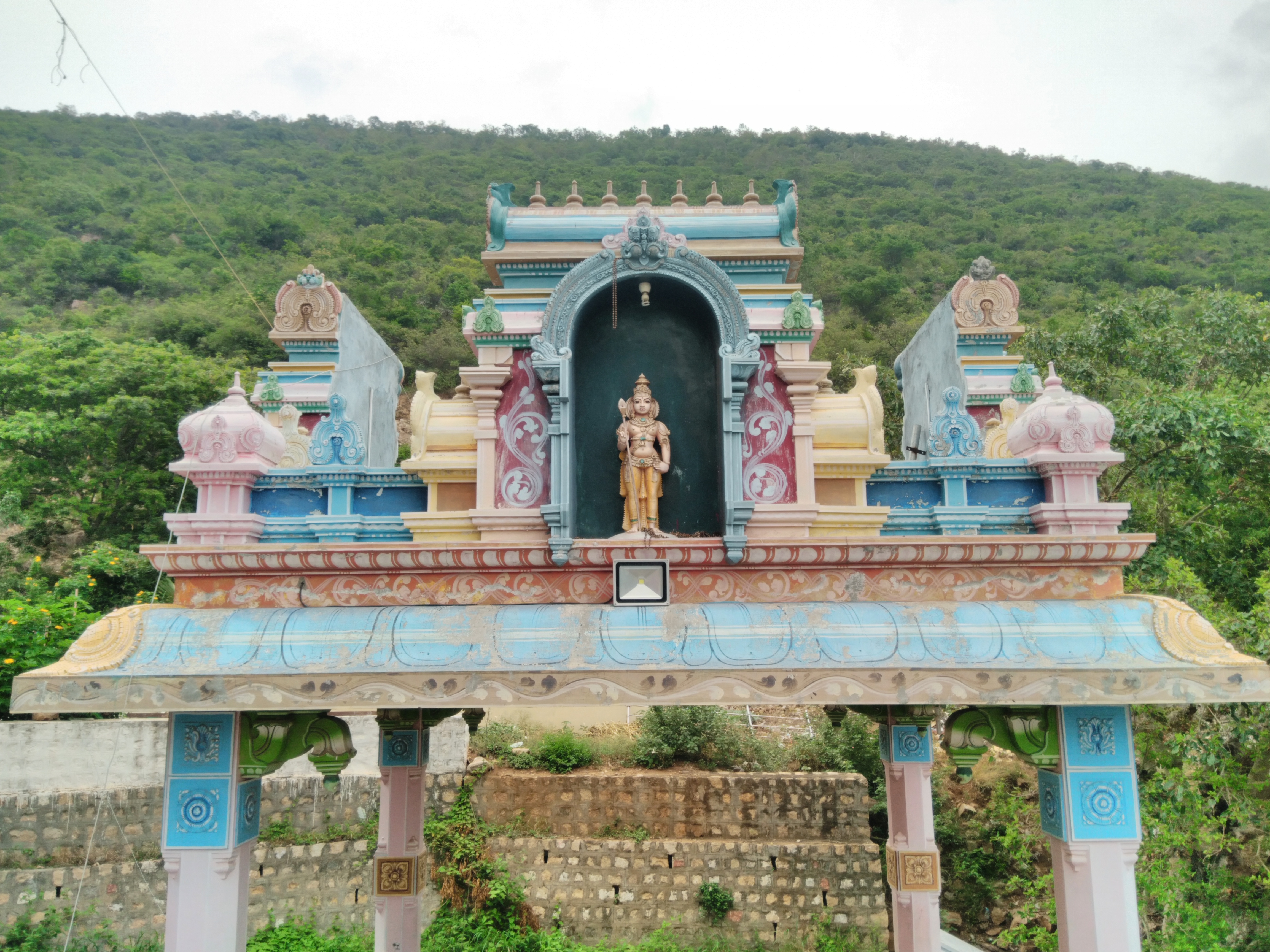 Lush Western Ghats vegetation surrounding Maruthamalai